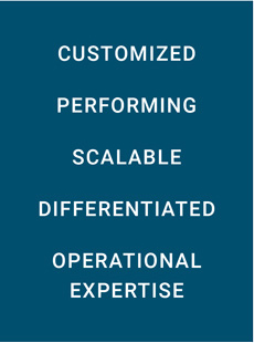 flexstone-solutions-graphic1 flexstone-solutions-graphic1